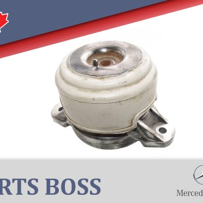 Mercedes CLS400 E350 E400 2012-2017 OEM Engine Motor Support Mount Front L or R