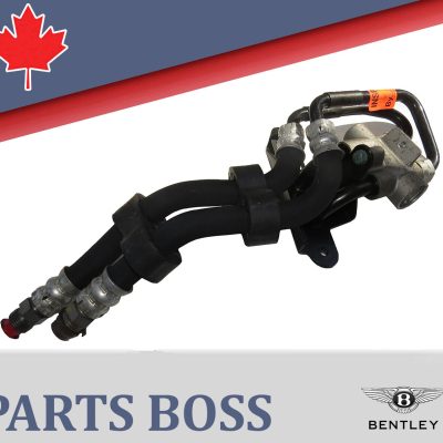 Bentley Continental Flying Spur GT GTC OEM 2003-09 2010 2011 2012 OEM Oil Pump