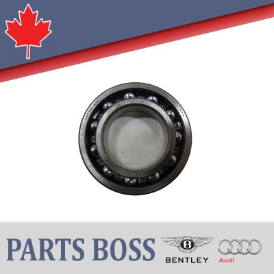 Bentley Audi 2009-2018 OEM  New Cylinder Roller Bearing