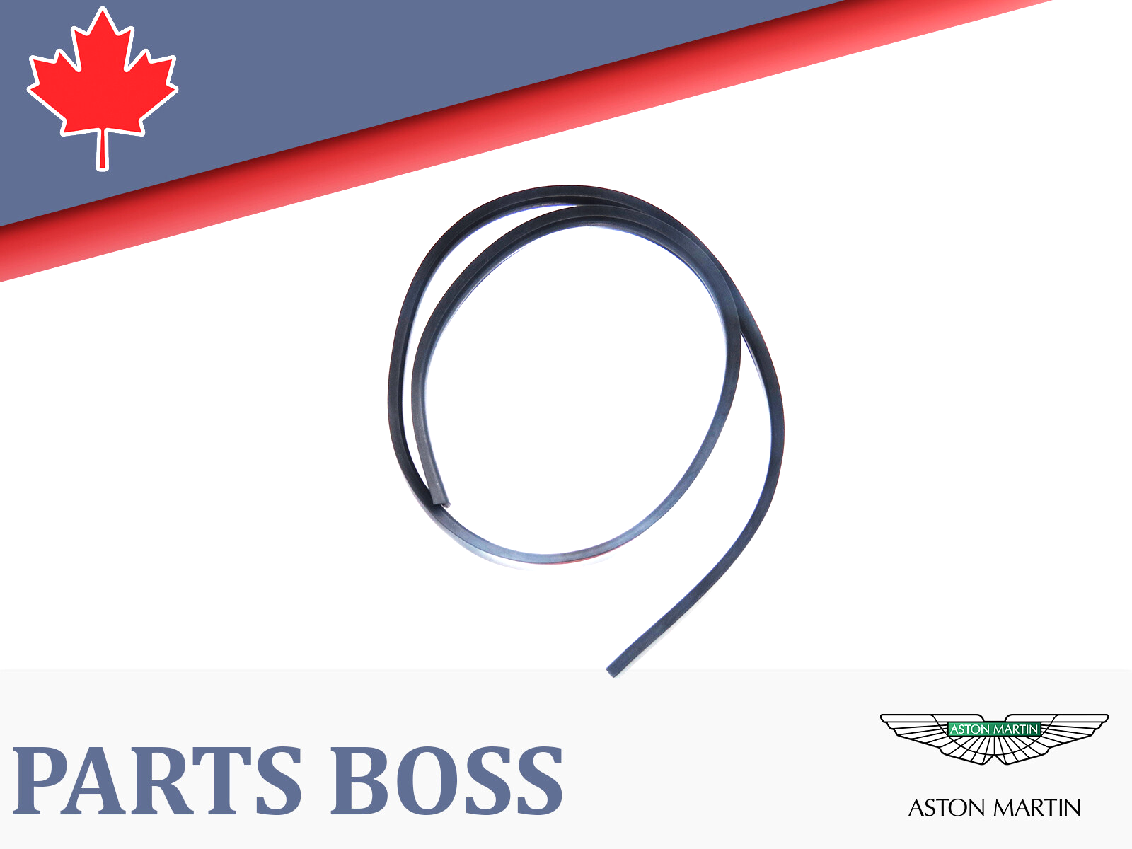Aston Martin Vanquish 2014-2018 OEM NEW Windshield Seal Right (Passenger Side)