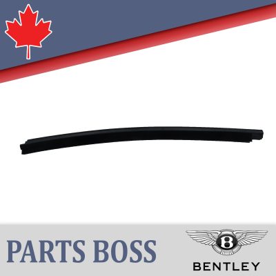 Bentley 2006-2012 OEM NEW Inner Door Seal Rear Right