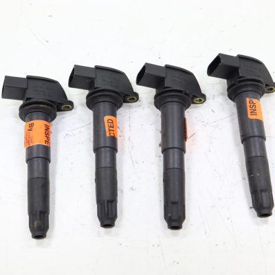 Porsche Cayenne 4.5L 2003-2006 OEM Direct Ignition Coil Set of 4