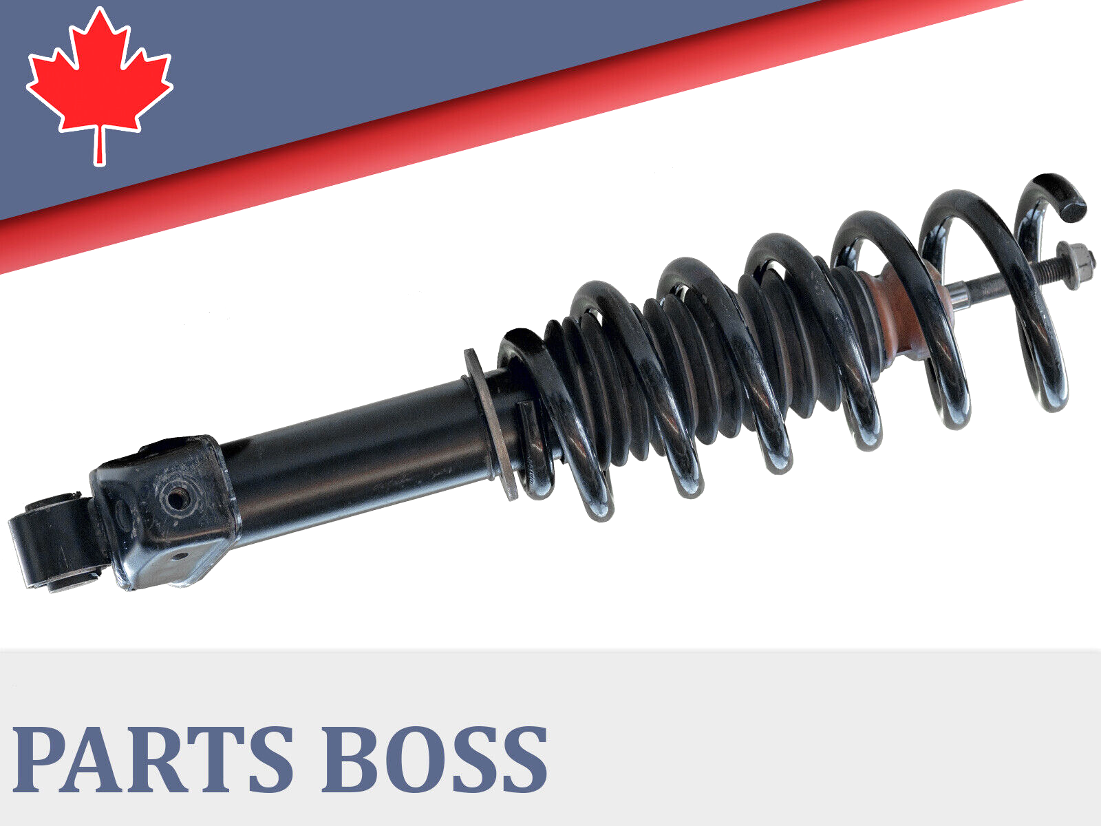 Porsche 911 Turbo 3.6 2001-2005 OEM Shock Absorber & Coil Spring Rear LH Rear RH