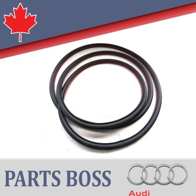 Audi Q5 SQ5 2009-2017 OEM NEW Weatherstrip Door Seal Rubber Strip Rear Left