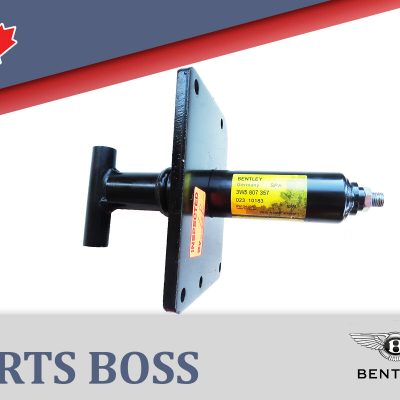 Bentley Continental 2003-2012 OEM Bumper Impact Shock Absorber Rear Left