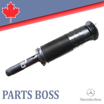 Mercedes CL600 S430 S500 S600 2000-2006 OEM Hydraulic Suspension Strut Front LH