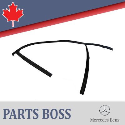 Mercedes-Benz 2013-2019OEM Door Frame Window Glass Seal LH 1667251900;1667250925