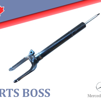 Mercedes ML320 ML350 ML450 ML500 ML550 ML63 2006-2011 OEM Suspension Strut Front