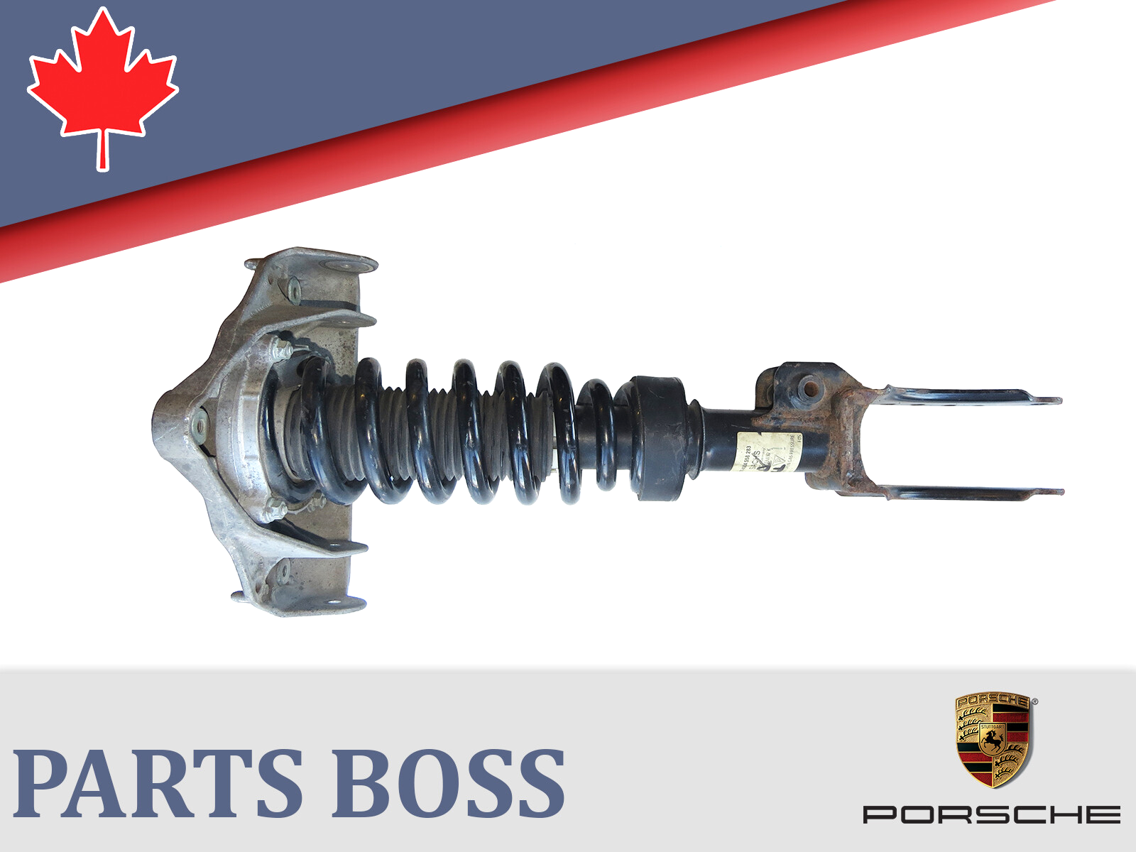 Porsche Cayenne 2003-2006 OEM Strut/Coil Spring Assembly Front Right (Passenger