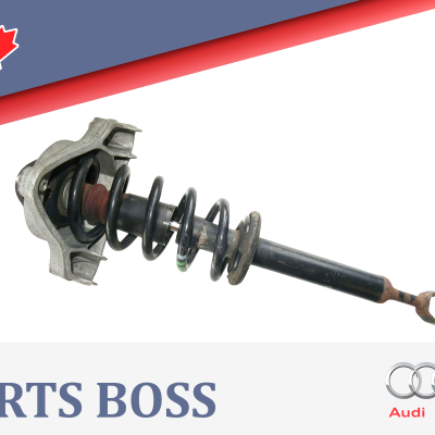Audi A6 Quattro 2005-2008 OEM Suspension Strut/Coil Assembly Front Left or Right