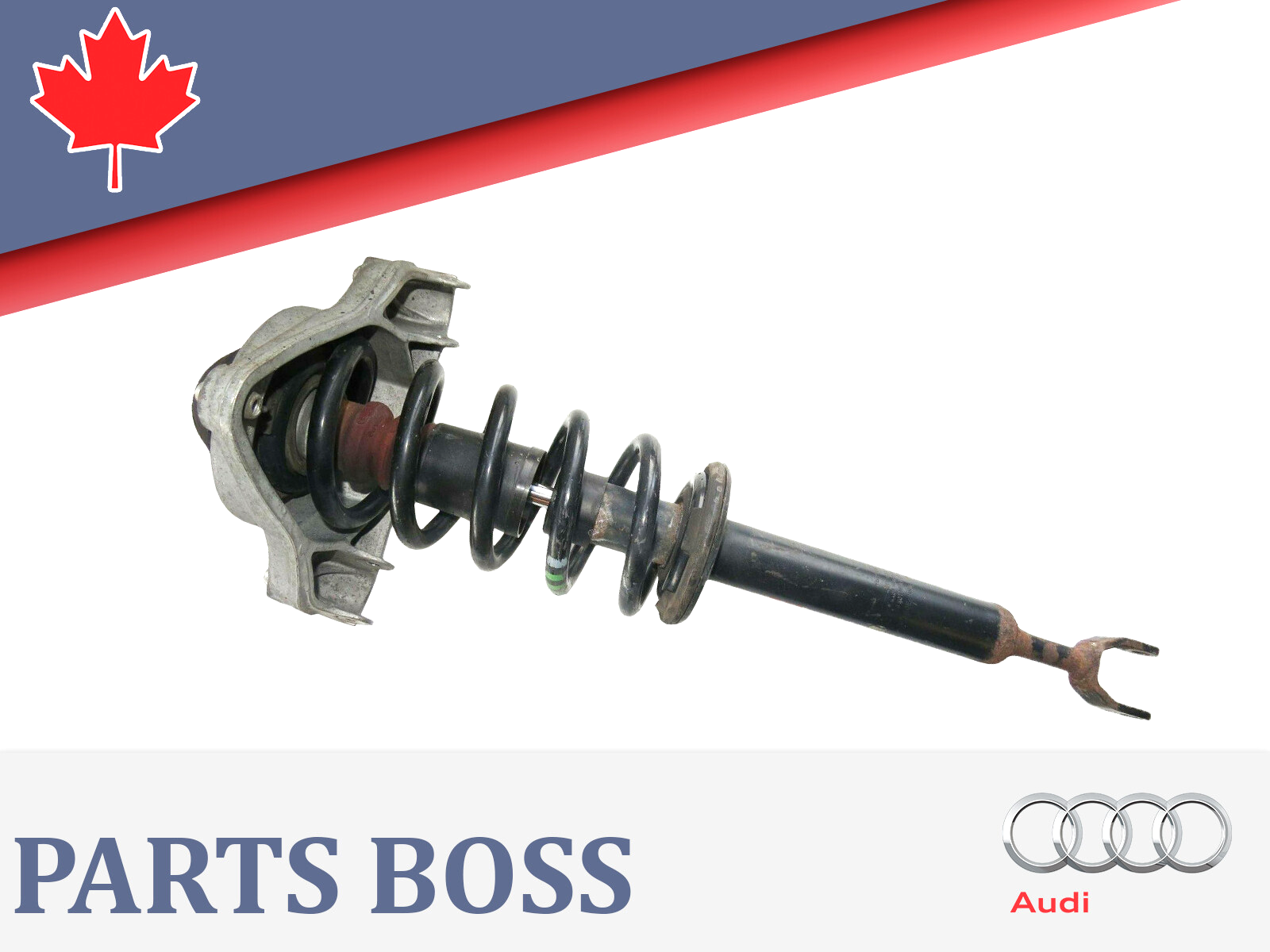 Audi A6 Quattro 2005-2008 OEM Suspension Strut/Coil Assembly Front Left or Right