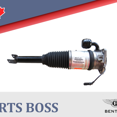 Bentley Continental Flying Spur 2006-2012 OEM Air Suspension Strut Shock Rear LH