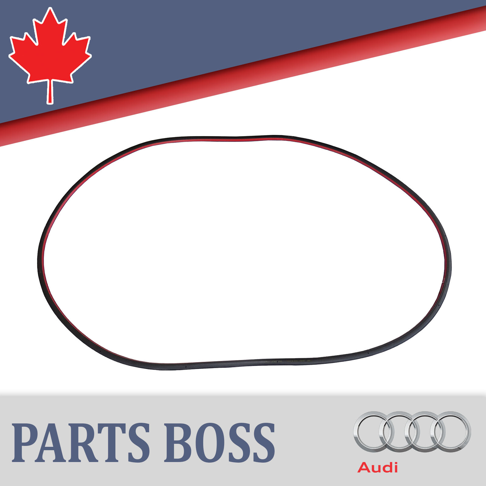 Audi Q5 SQ5 2009-2016 OEM NEW Rear Right Door Weatherstrip Rubber Seal