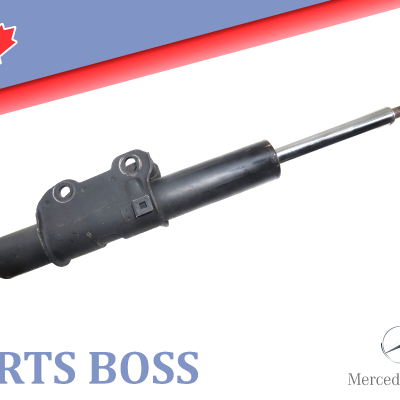 Mercedes Dodge Sprinter 2500 3500 2010-2018 OEM Suspension Strut Shock Front
