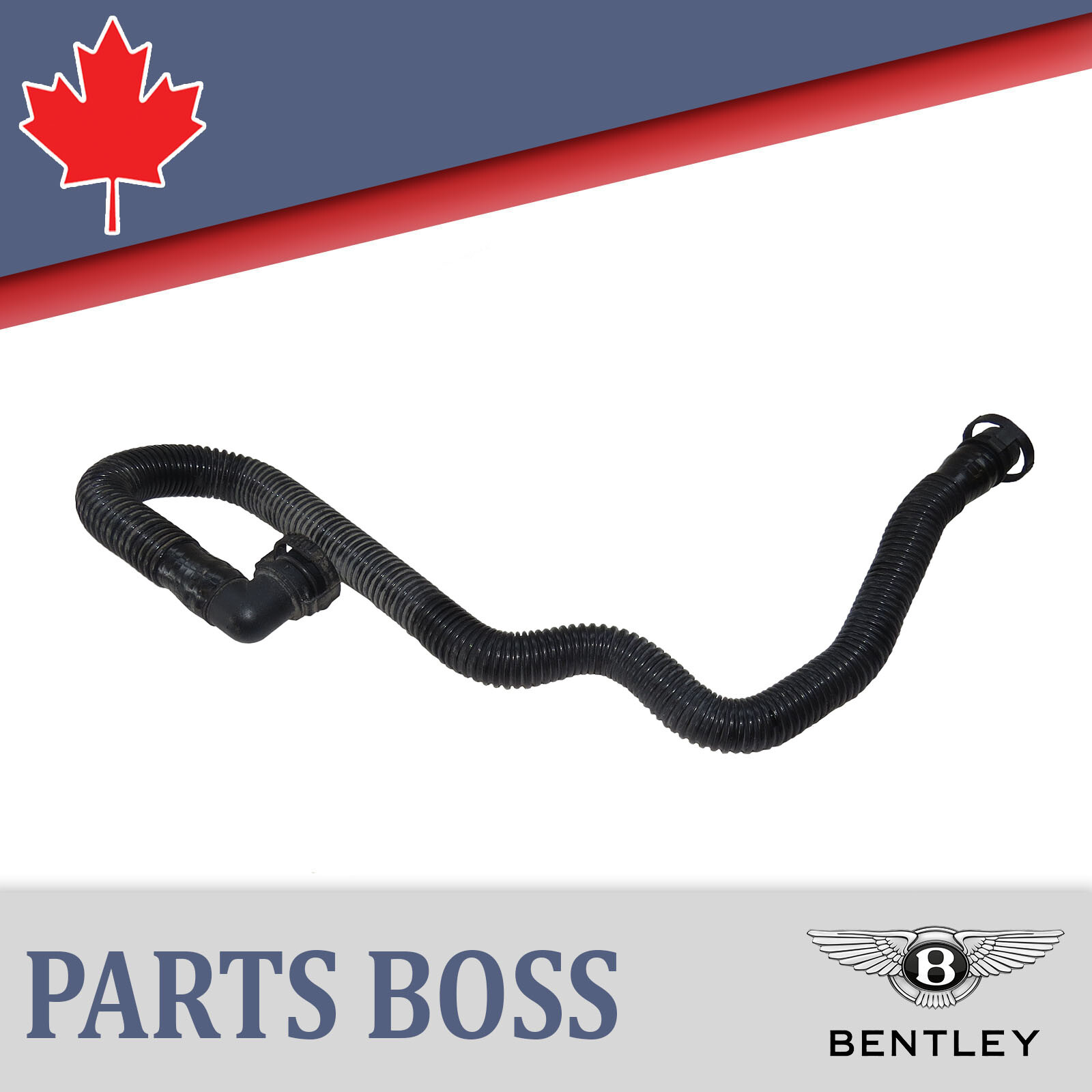 Bentley Flying Spur GT 2003-2012 OEM Secondary Air Pump Hose