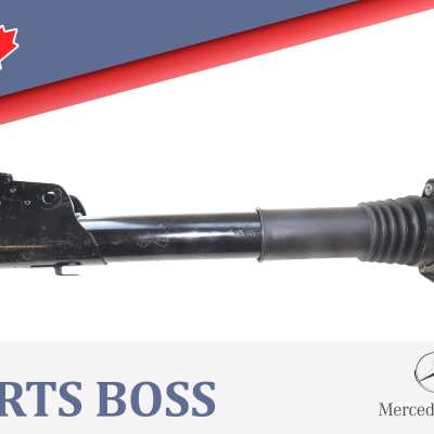 Mercedes Sprinter 2500 2013-2018 OEM Suspension Shock Strut Front Left or Right