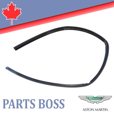 Aston Martin DB9 DBS 2004-2016 OEM NEW Door Frame Weatherstrip Rear Left Lower