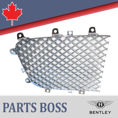 Bentley 2004-2008 OEM NEW Bumper Radiator Grille Front Left (Driver Side)