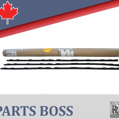 Rolls-Royce Phantom 2017 2018 2019 OEM Mount Fiber-Optic Conductor 51456821498