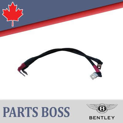 Bentley Continental 2003-2012 OEM NEW Starter Alternator Wiring Harness