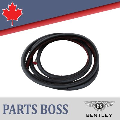 Bentley Continental Flying Spur 2006-2012 OEM NEW Door Seal
