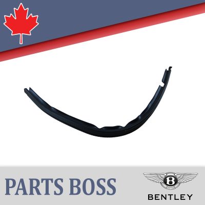 Bentley Bentayga 2017-2020 OEM NEW Door Trim Strip