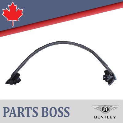 Bentley Continental 2011-2018 OEM Door Window Seal
