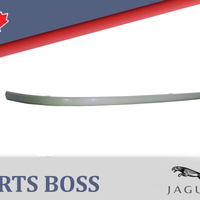 Jaguar S-Type 2004-2008 OEM NEW Bumper Trim Front Left Lower (Driver Side)