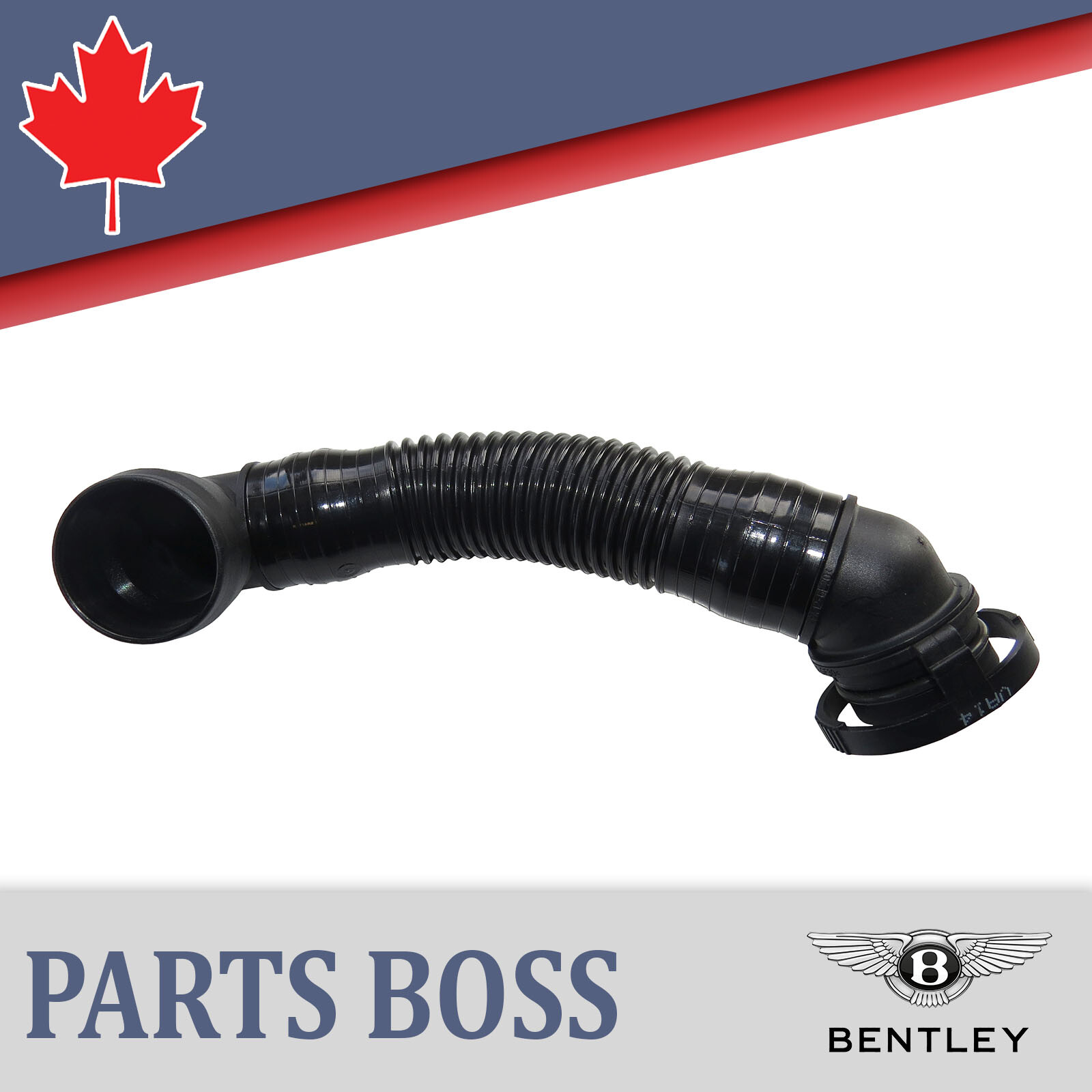 Bentley Continental 2003-2018 OEM NEW Connecting Pipe