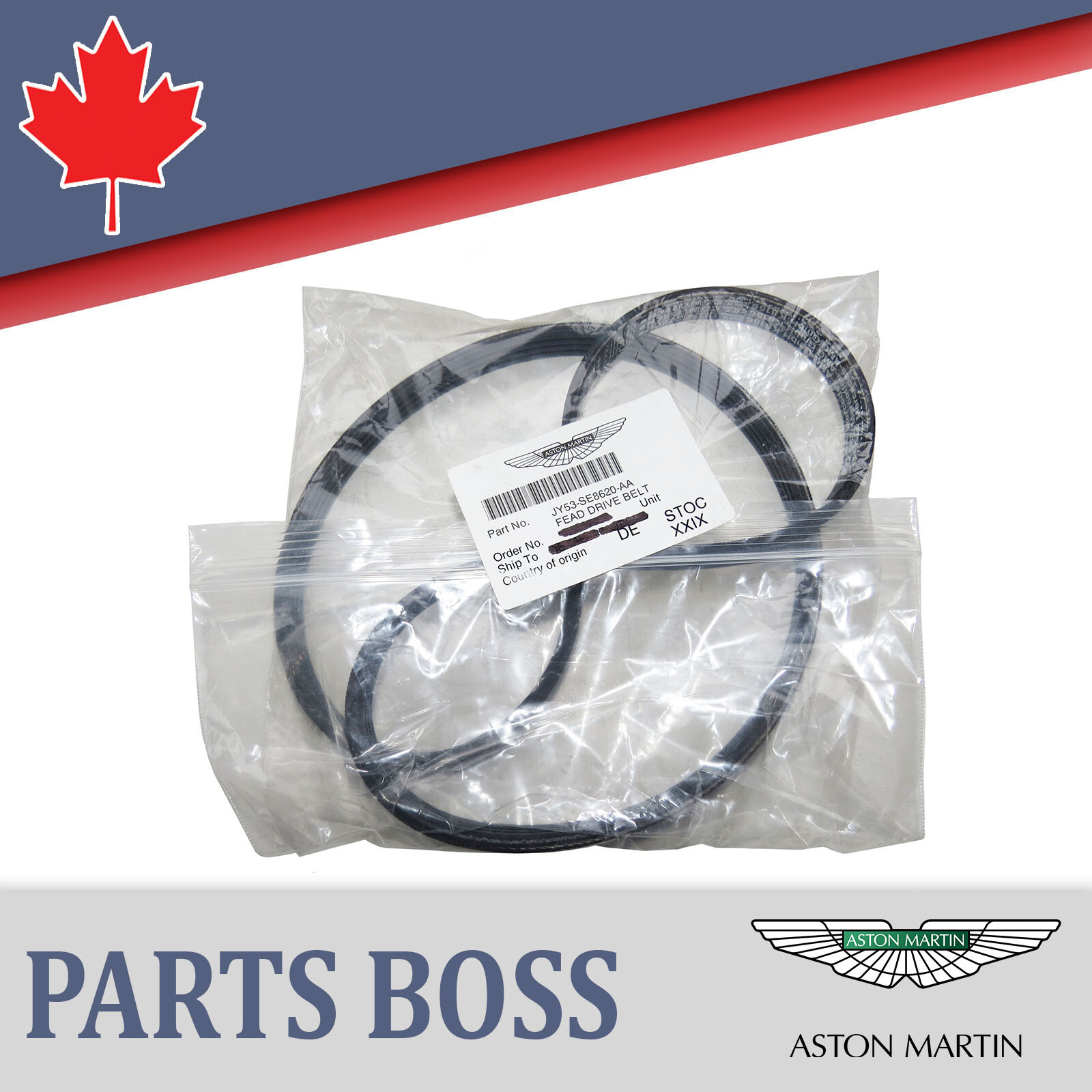 Aston Martin OEM NEW Fead Drive Belt