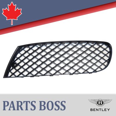 Bentley Continental 2005 2006 2007 2008 2009 OEM NEW Bumper Grille 3W5807683C