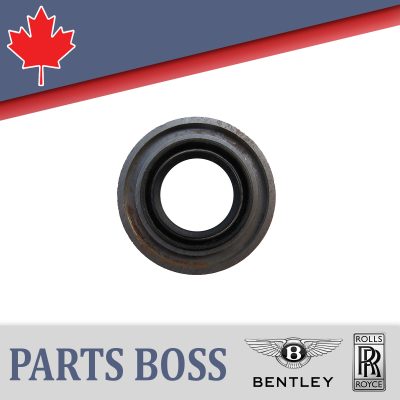 Bentley Rolls Royce 1971-2020 OEM NEW Oil Seal