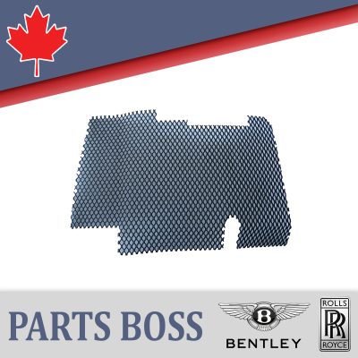 Bentley Rolls Royce 1971-1996 OEM NEW Air Intake Plenum Grille Front LH
