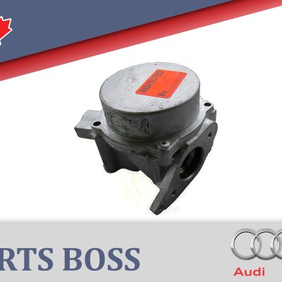 Volkswagen Beetle CC Eos Jetta Passat Audi A3 TT 2.0L 2008-2017 OEM Vacuum Pump