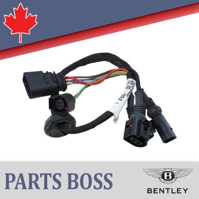 Bentley Bentayga 2017-2020 OEM NEW Side Step Motor Composite Wiring Harness