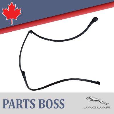 Jaguar XJ XJR XJR575 2010-2019 OEM NEW Door Shell Seal Front RH