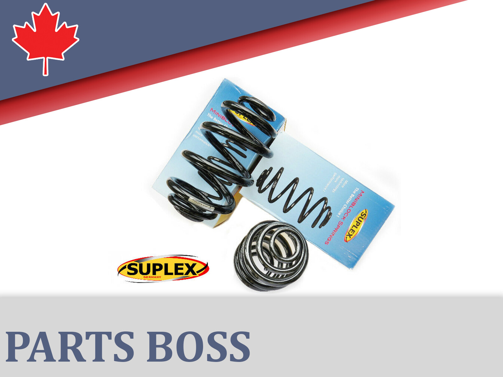 BMW 3 Series 1999 2000 2001 2002 2003 2004 2005 2006 Suplex Coil Springs Set