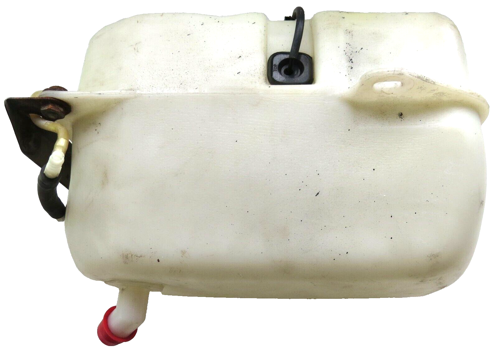 Bentley Rolls Royce 1987-1988 OEM Headlight Power Wash Reservoir - Image 3