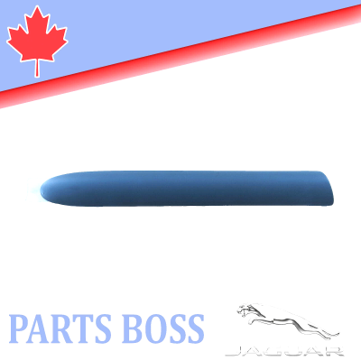 Jaguar XK8 XKR 1997-2004 OEM NEW Body Side Molding Rear Right