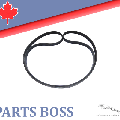 Jaguar F-Type XF XFR XFR-S XKR XKR-S 2010-2016 OEM NEW Serpentine Drive Belt
