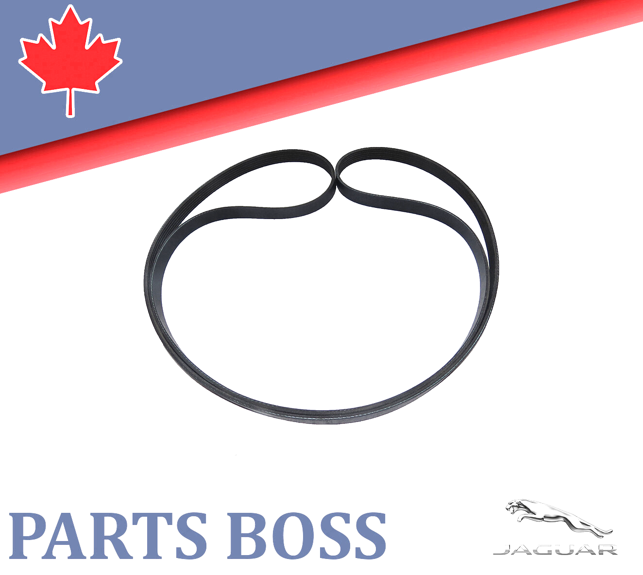 Jaguar F-Type XF XFR XFR-S XKR XKR-S 2010-2016 OEM NEW Serpentine Drive Belt