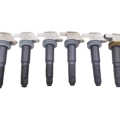 Porsche 911 Boxster Cayman 2009-2019 OEM Ignition Coil Set of 6PCS